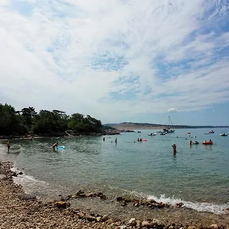 Viky * كلارجيفيكا