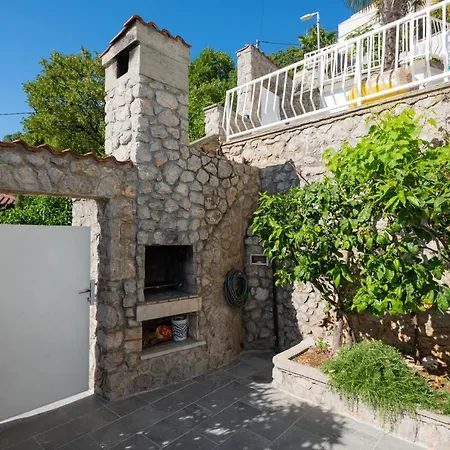 Viky كلارجيفيكا