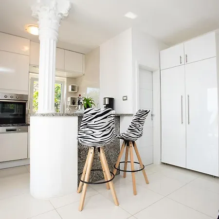 Apartment Viky *